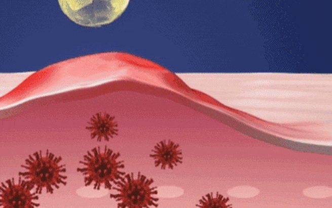 1754910592645265.gif